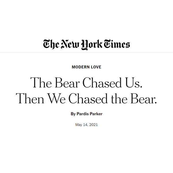 The New York Times - The Bear Chased Us. Then We Chased the Bear.